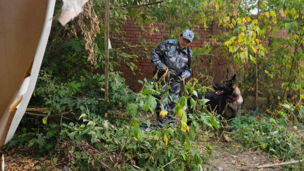 Четвероногий напарник: служебная собака помогла самарским полицейским раскрыть кражу