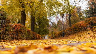 Самарцев ожидают пасмурные выходные с 0 градусов