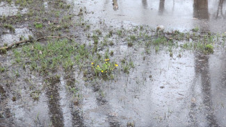 После ливня стеной улица Физкультурная ушла под воду в Самаре