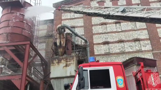 На Самарском пивоваренном заводе сотрудники МЧС потушили условный пожар на элеваторе 