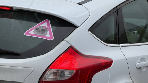 Самарцам грозят штрафы за шипованную резину, если не сменить ее за два месяца