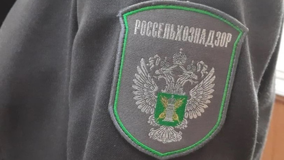 Цирк-шапито поймали на незаконных гастролях под Самарой