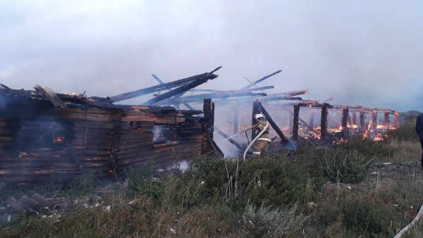 Сгорели все, кто там был: в Самарской области крупный пожар тушили больше 2 часов