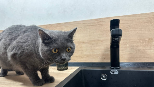 В Самаре жители 11 улиц могут остаться без холодной воды в период с 13 по 19 декабря