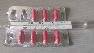 В Самарской области за неделю зафиксировано 12243 случая ОРВИ