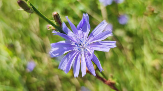 Народный календарь 31 июля. Не делайте этого в Омельянов день, чтобы не остаться на мели и в одиночестве