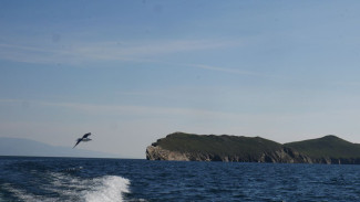 «Дороже золота»: самарский журналист нашёл на Байкале места особой силы