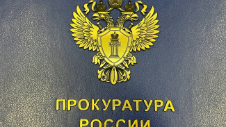 Самарская прокуратура вернула выплаты многодетной матери за два года