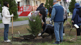 В Самаре до конца осени высадят 5 тысяч деревьев