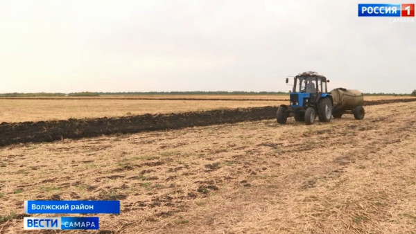 Стало известно, какую поддержку самарским кооперативам оказывает государство