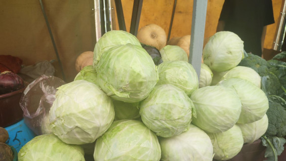 В Самаре в 2026 году хотят открыть новую ярмарку в Советском районе