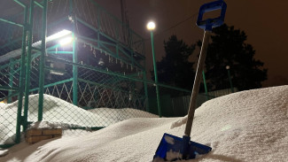 Стало известно, когда Самарскую область завалит снегом 