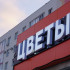 Самарцам рассказали, как выбрать живые цветы к 8 Марта и не ошибиться