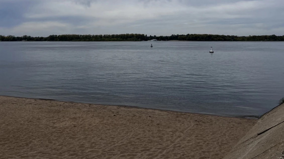 Штраф до 3000 рублей: самарцев предупредили о наказании за выгул собак на пляжах