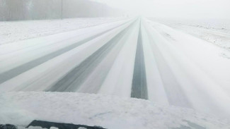 Самарскую область засыпало снегом 10 апреля