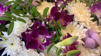 Гороскоп на 30 мая 2024: астрологи рассказали, кого ждет семейное благополучие