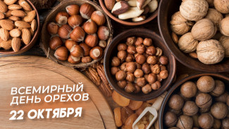 Всемирный День Орехов 22 октября: традиции праздника, открытки, забавные факты