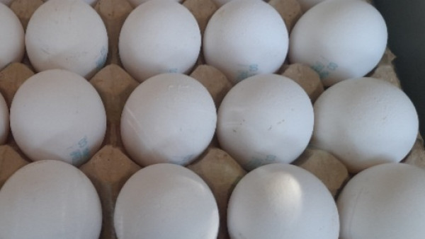 На фоне роста цен на яйца жители Самары стали меньше болеть сальмонеллёзом
