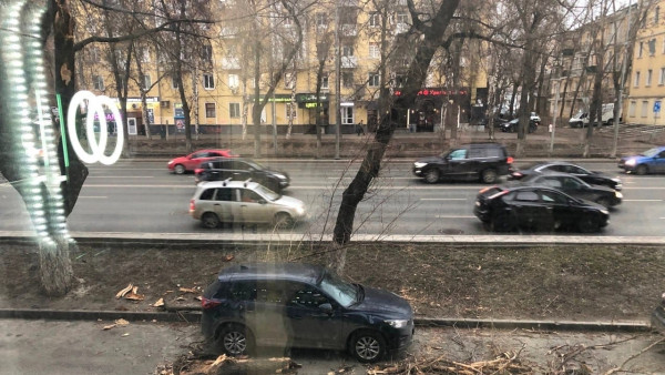 В Самаре дерево рухнуло на автомобиль на улице Ново-садовой