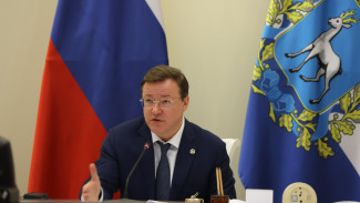 Самарцы в 2024 году подали почти 1000 заявок на гранты президентских фондов