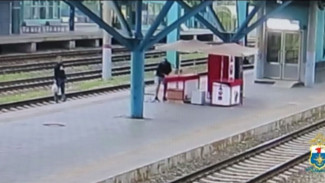 Самарские транспортные полицейские раскрыли кражу 60 пакетов мороженого