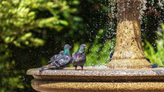 Самарцам рассказали, чем опасно купание в фонтанах летом 