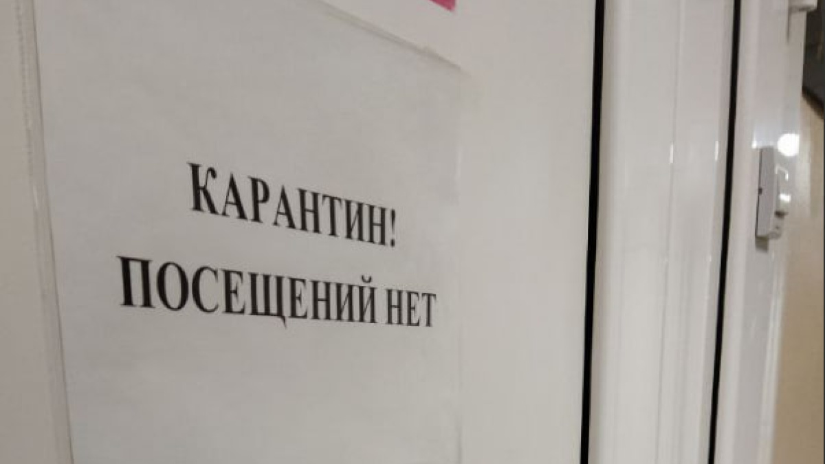 В Тольяттинской больнице ввели карантин по бешенству – Новости Самары и  Самарской области – ГТРК Самара