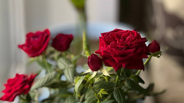 Гороскоп на 28 марта: астрологи рассказали, представителей какого знака ждет нервный день