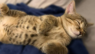 Самару 11 марта накрыла магнитная буря