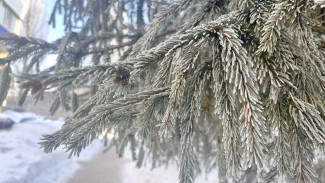 В Самарской области ожидаются температурные скачки от -15 °С до +5 °С