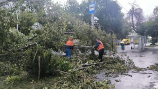 В Самаре 15 бригад ликвидируют последствия шторма
