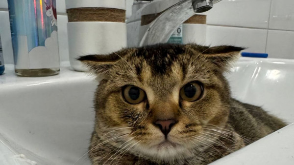 В Самаре 13 января пройдут плановые ремонтные работы на сетях водоснабжения