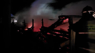 В Самарской области в ночь на 12 декабря в крупном пожаре погибли животные 