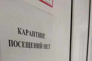 Самарцам рассказали, чем опасен хантавирус и по каким симптомам его можно распознать