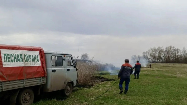 Под Самарой площадь пожаров в Подбельском лесничестве составила 15 гектаров