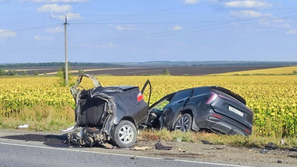 Появились кадры самарского ДТП с двумя погибшими в разорванном FIAT