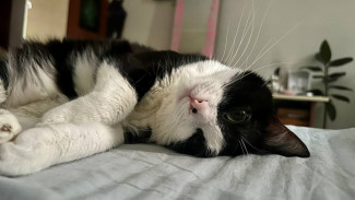 Врач В.Литвинов рассказали самарцам, как недостаток сна может привести к диабету и ожирению