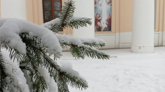 Народные приметы на 6 января. Что запрещено делать в Рождественский сочельник, чтобы не потерять деньги и здоровье 