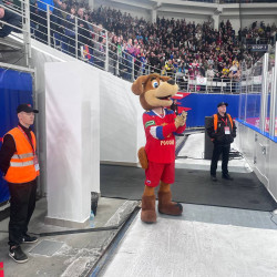 В Самаре отменили хоккейный матч из-за скорой помощи