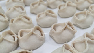 Самарцев предупредили о кишечной опасности покупных пельменей