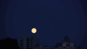 Самарцы смогут увидеть первый весенний звездопад из созвездия Лиры