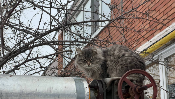 В Самаре управляющие компании оштрафуют за отсутствие терморегуляторов