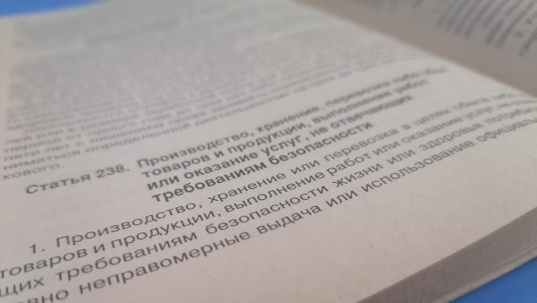 В Самарской области возбудили уголовное дело из-за нападения стаи собак на ребенка