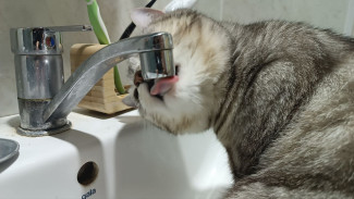 10 улиц в Самаре временно останутся без холодной воды 2 сентября