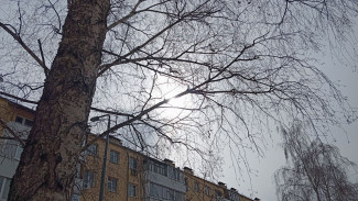 Учёные рассказали, когда Самару накроет опасная протонная вспышка