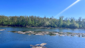 Приметы 2 мая: что нельзя делать в день Ивана Ветхопещерника, чтобы не испортить здоровье