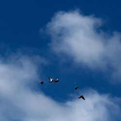 25 декабря в Самарской области объявили угрозу атаки БПЛА 