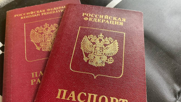 Самарцам разъяснили, что такое добровольные отметки в паспорте