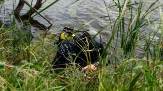 В Кошкинском районе водолазы почти сутки искали тело утонувшего мужчины 27 июля