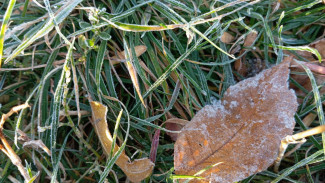 Самару накрыли первые заморозки до -3°C